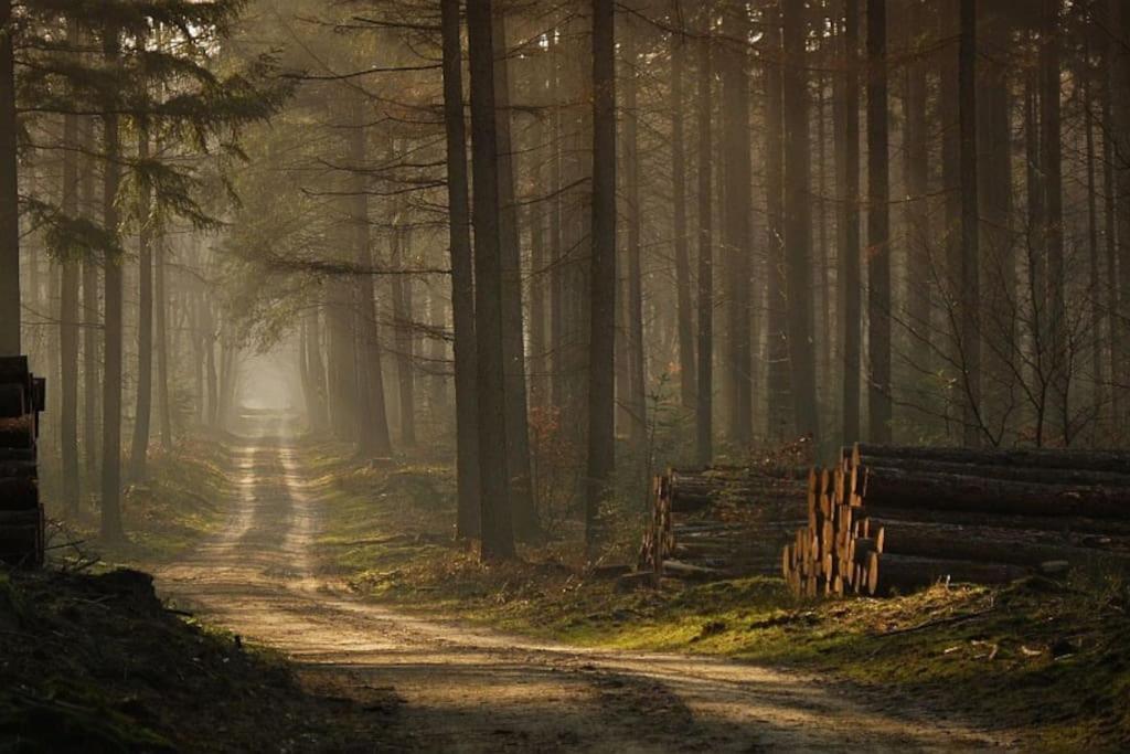 プッテン Reewold Veluweヴィラ エクステリア 写真