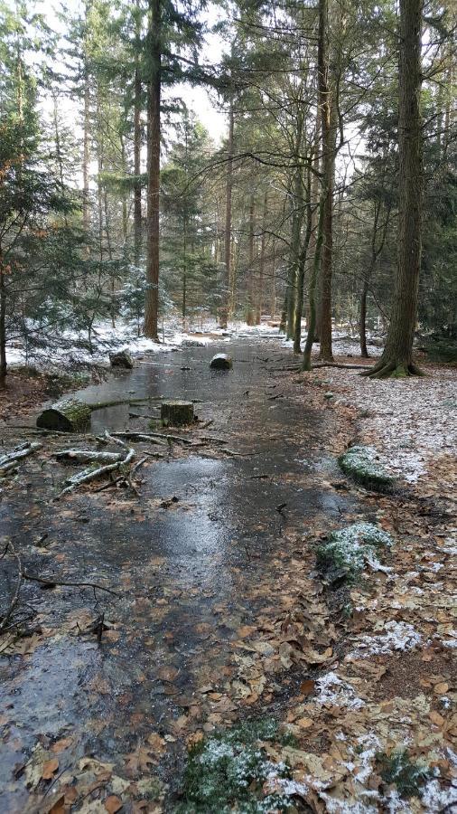 プッテン Reewold Veluweヴィラ エクステリア 写真