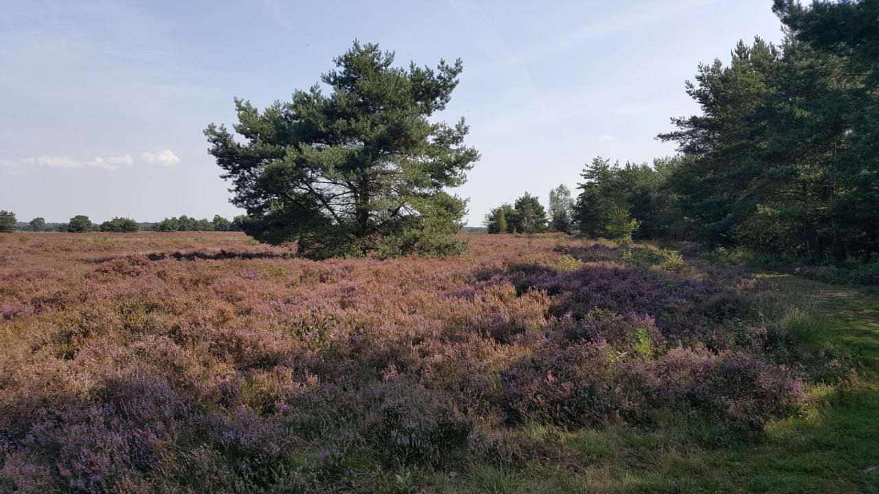 プッテン Reewold Veluweヴィラ エクステリア 写真